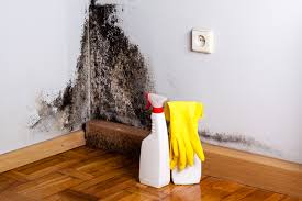 Mold Removal for HVAC Installations in Temple Hills, MD